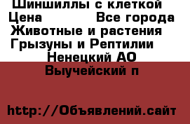 Шиншиллы с клеткой › Цена ­ 8 000 - Все города Животные и растения » Грызуны и Рептилии   . Ненецкий АО,Выучейский п.